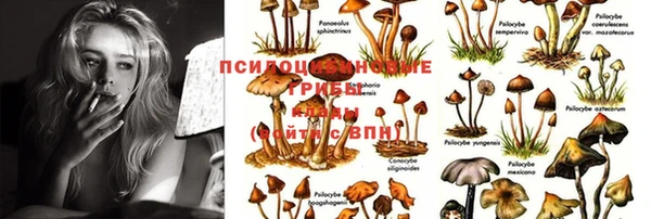 MDMA Арсеньев