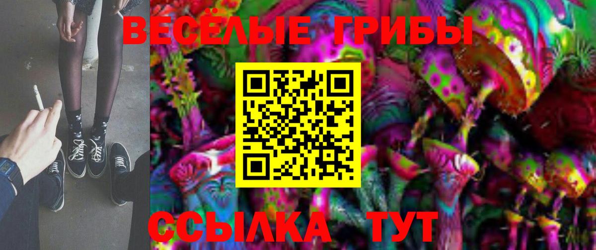 Галлюциногенные грибы прущие грибы  Вход с VPN  Галлюциногенные грибы мухоморы  Киреевск 